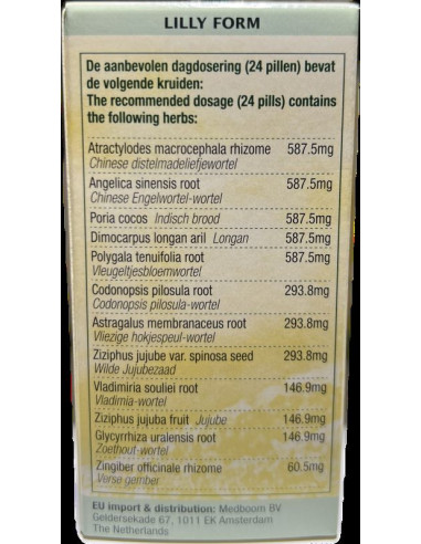 GUI PI WAN - 归脾丸