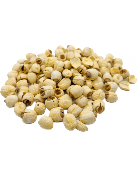 GRAIN DE LOTUS - LIAN ZI ROU - 莲子肉