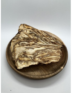 ANGELICA - DANG GUI - 当归