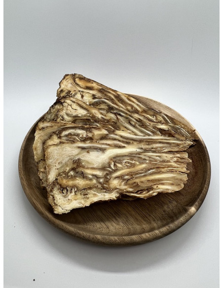 ANGELICA - DANG GUI - 当归